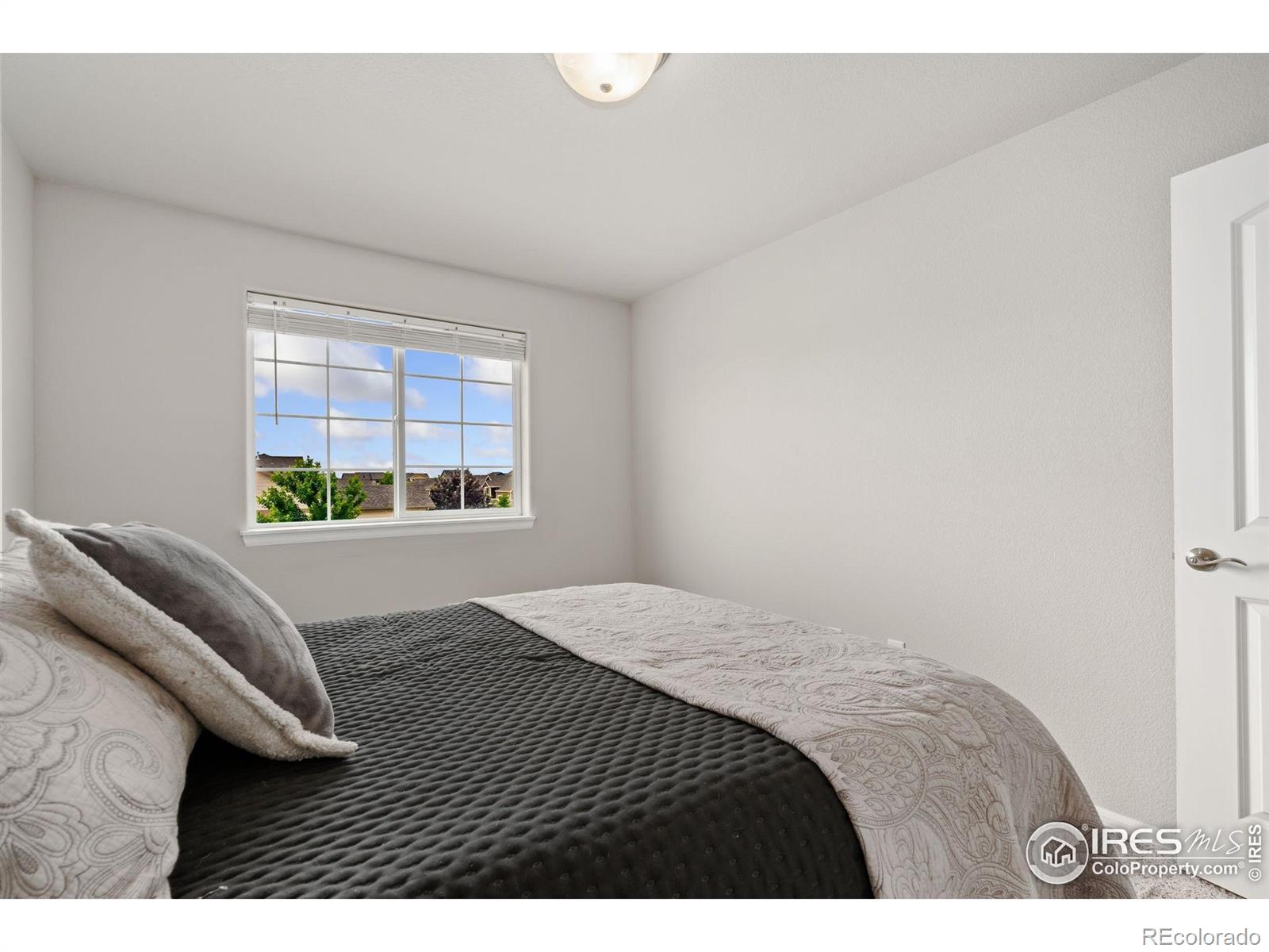 MLS Image #24 for 734  takin drive,severance, Colorado