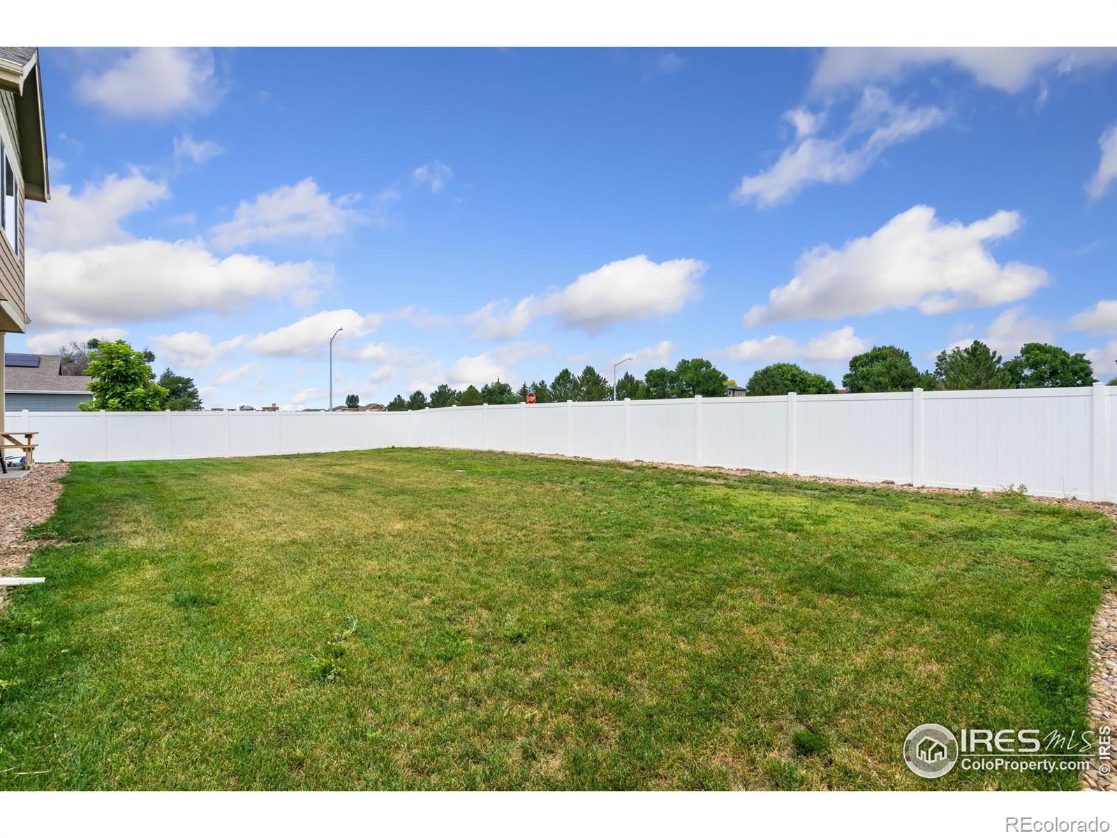 MLS Image #33 for 734  takin drive,severance, Colorado
