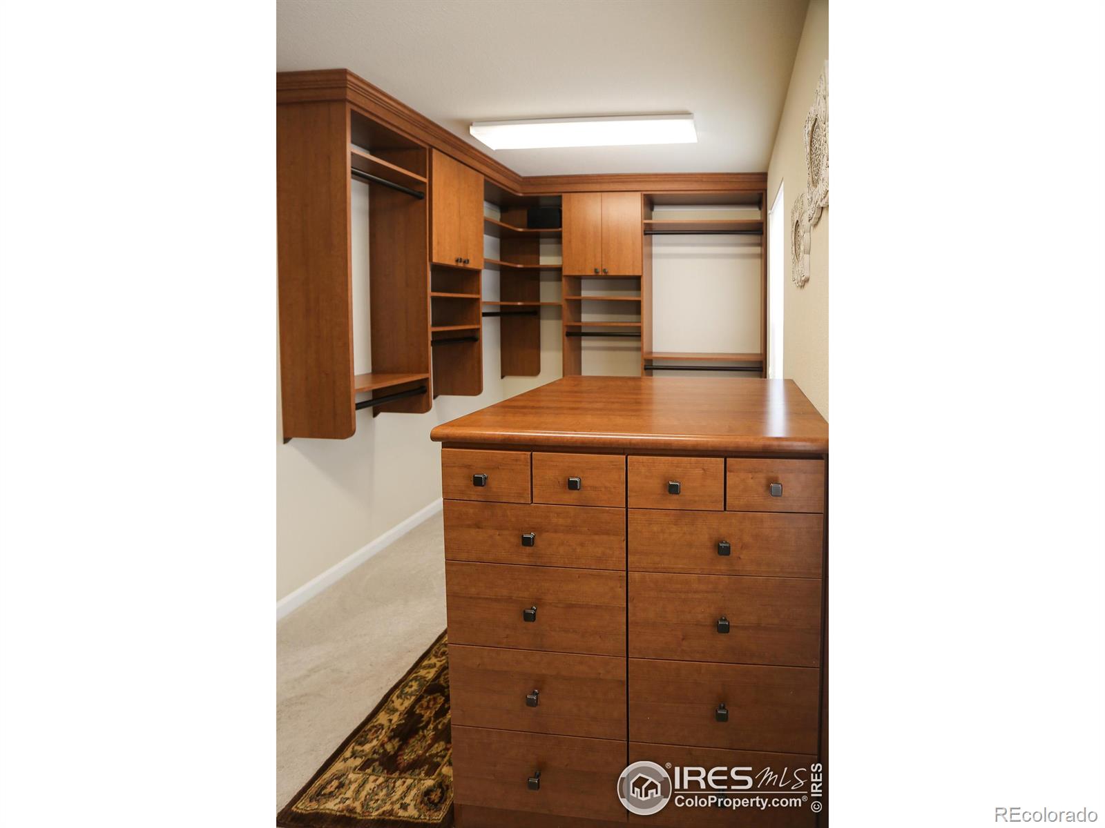 MLS Image #24 for 873  mcclure way,erie, Colorado