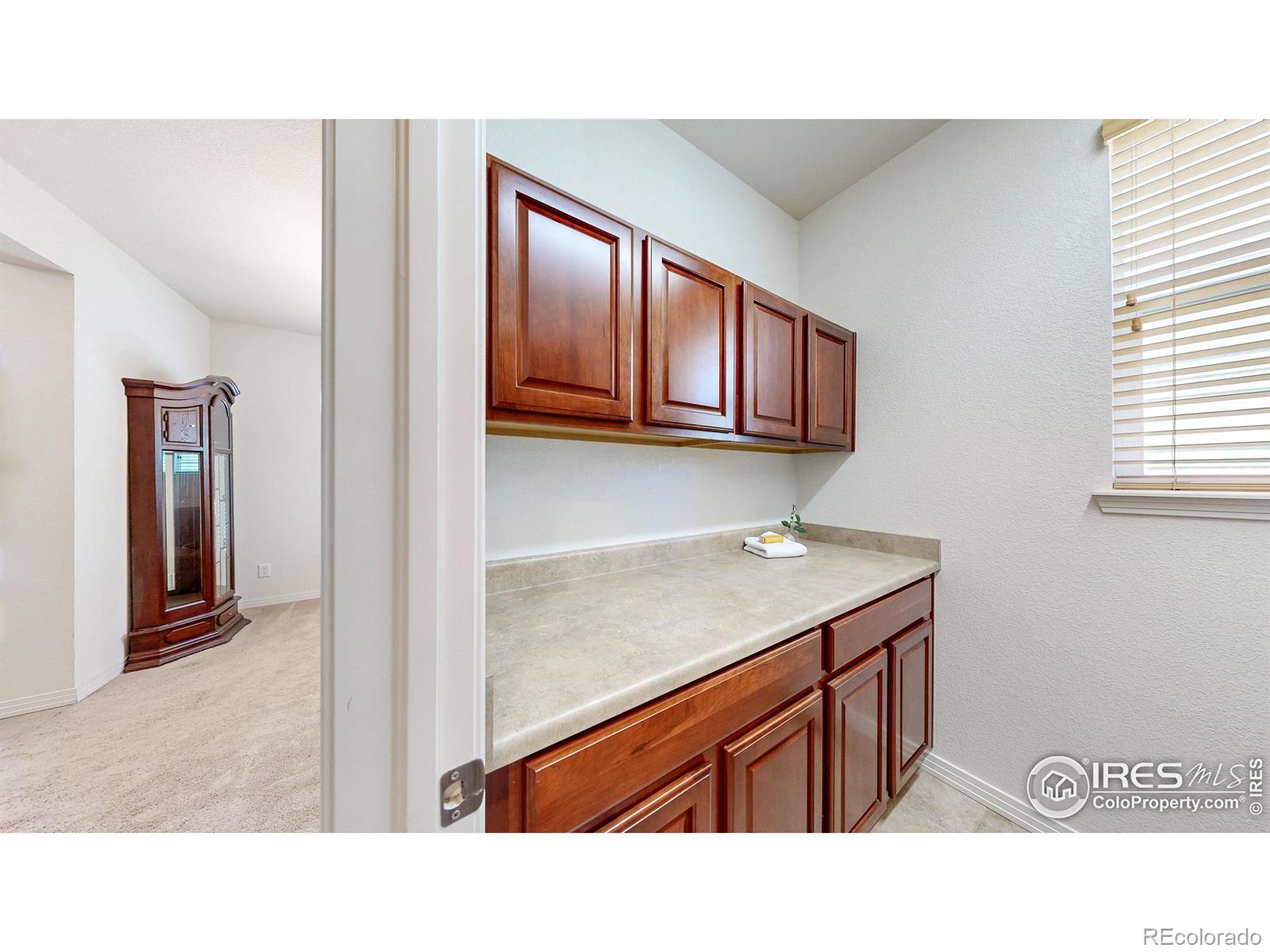 MLS Image #26 for 14230  lakeview lane,broomfield, Colorado