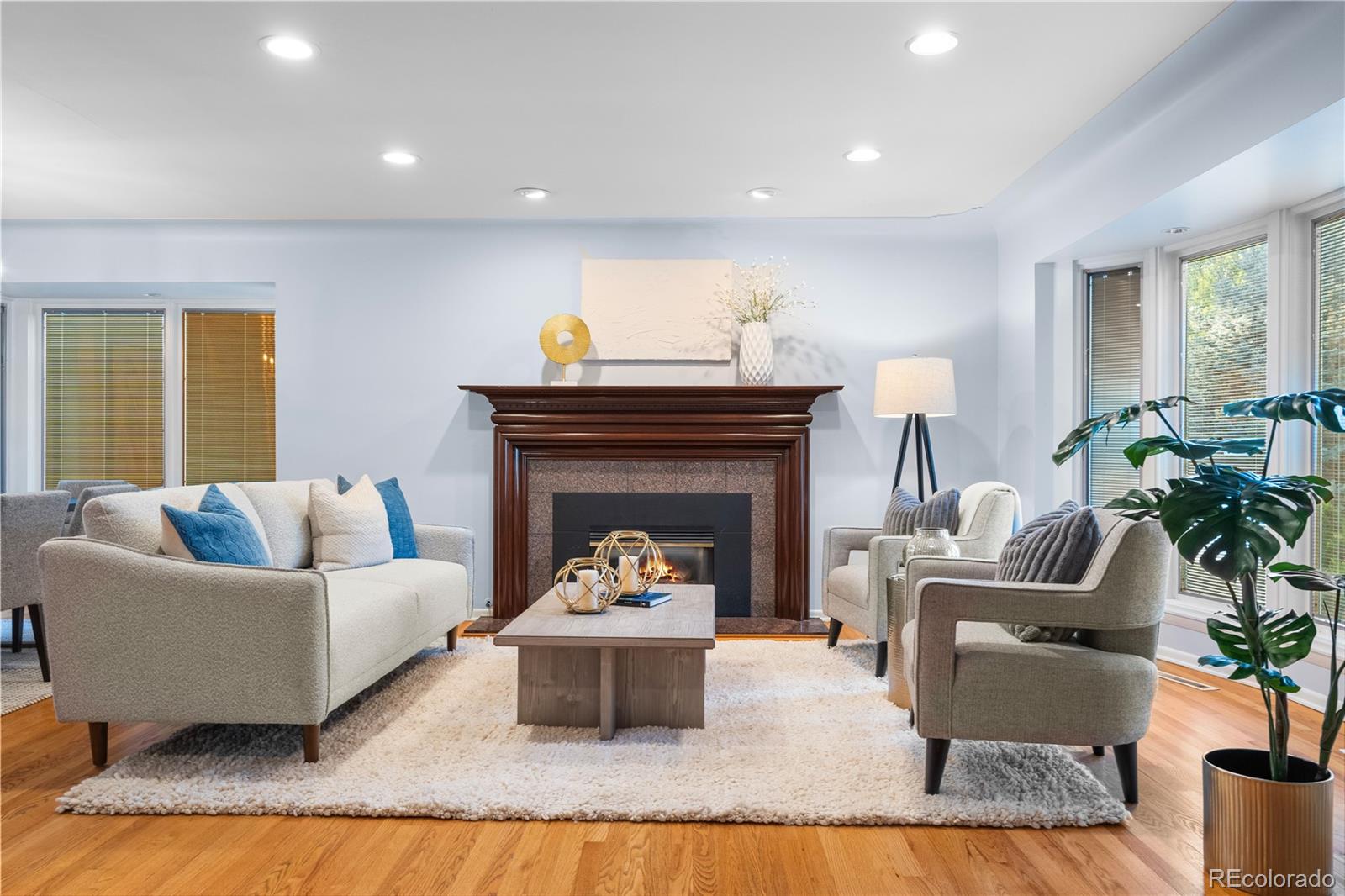 MLS Image #11 for 3223 s columbine street,denver, Colorado