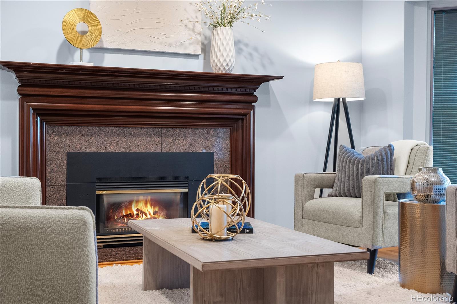 MLS Image #15 for 3223 s columbine street,denver, Colorado