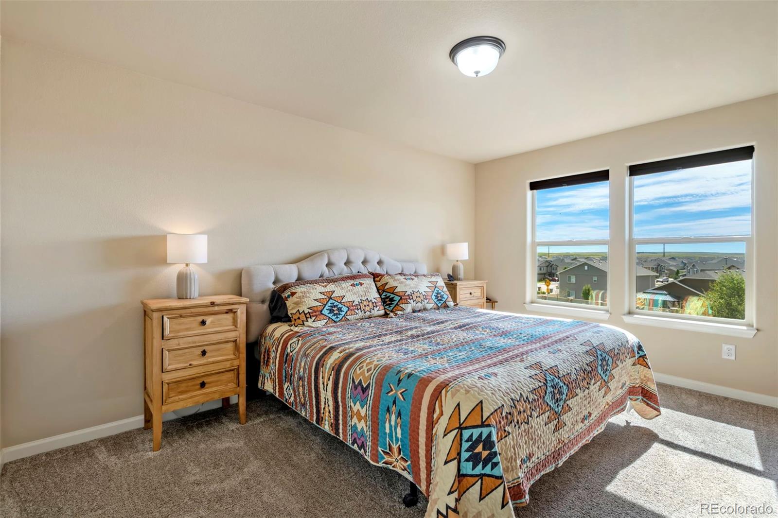 MLS Image #15 for 4377  hessite loop,colorado springs, Colorado