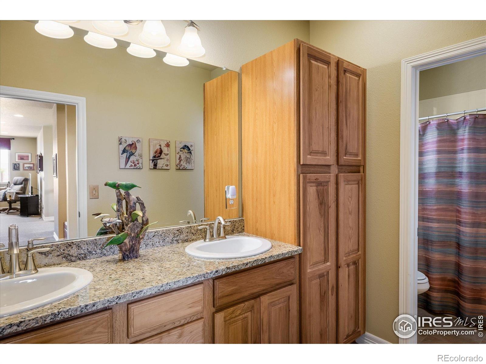 MLS Image #24 for 2446  reserve street,erie, Colorado