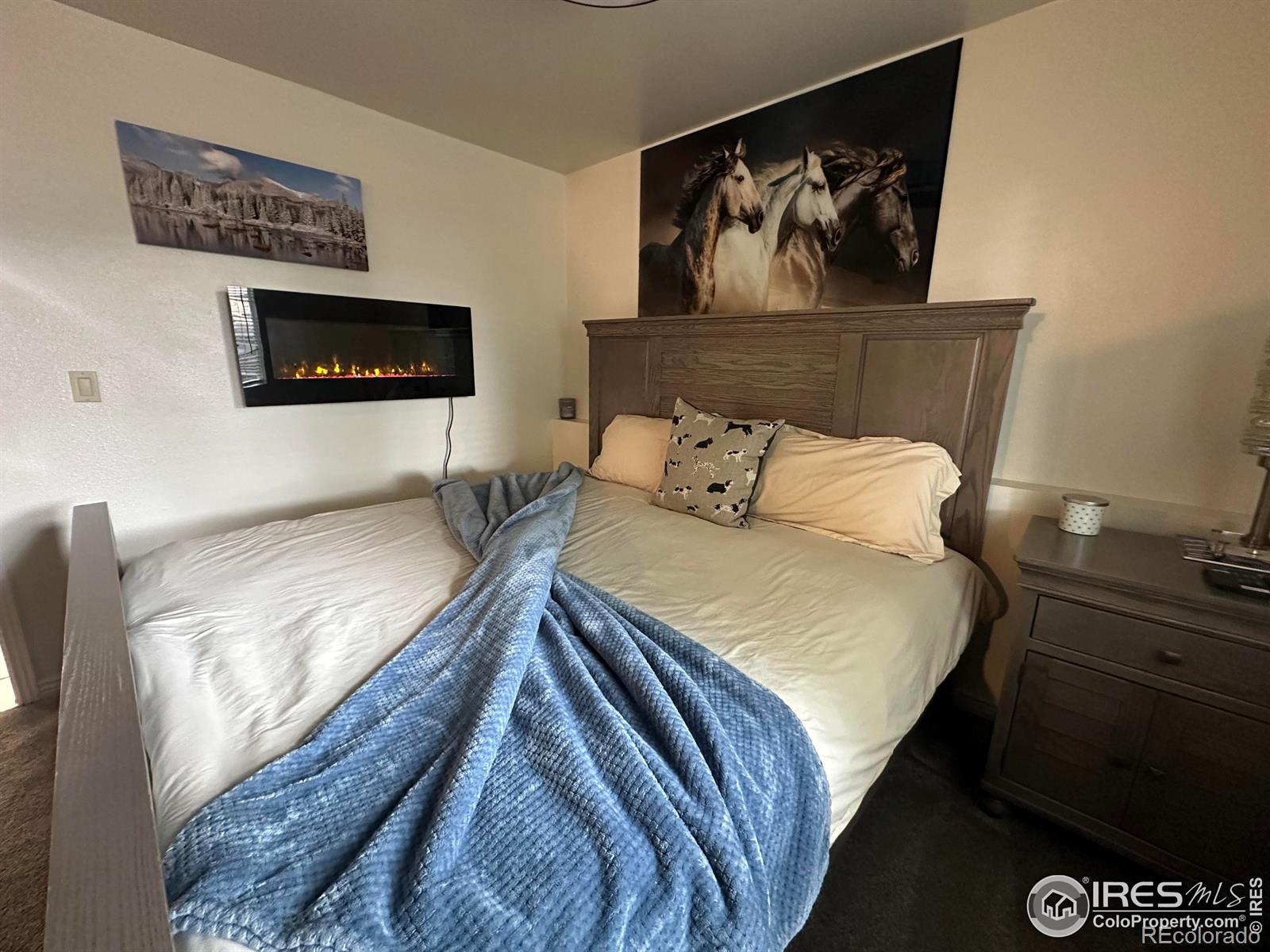 MLS Image #18 for 1656 s gilpin avenue,loveland, Colorado