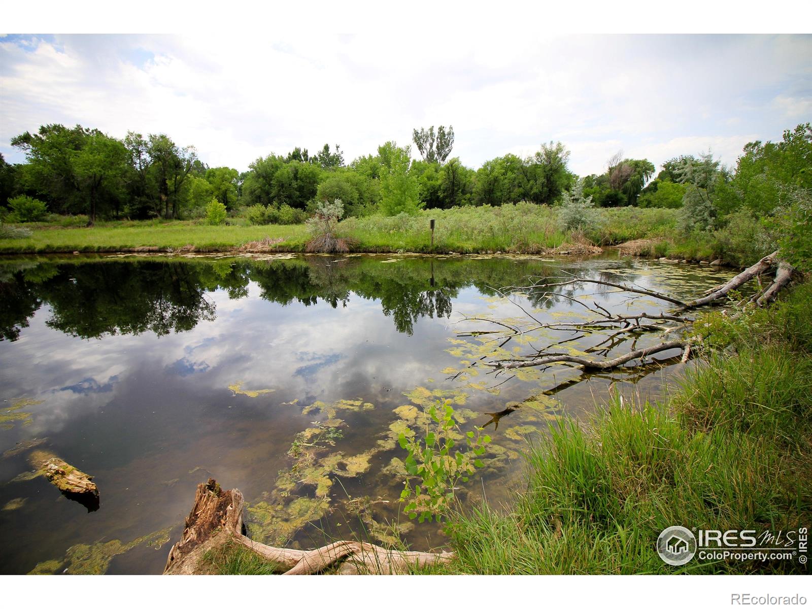 MLS Image #13 for 1705  heatheridge road,fort collins, Colorado
