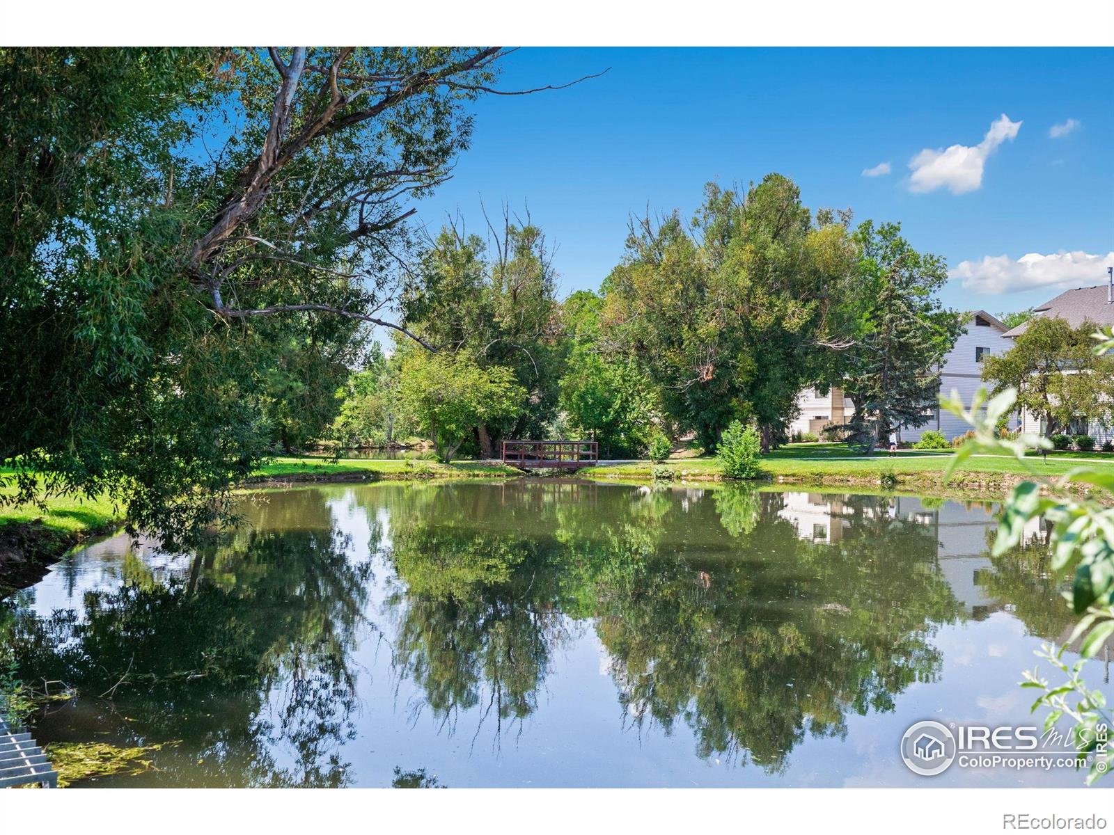 MLS Image #22 for 1705  heatheridge road,fort collins, Colorado
