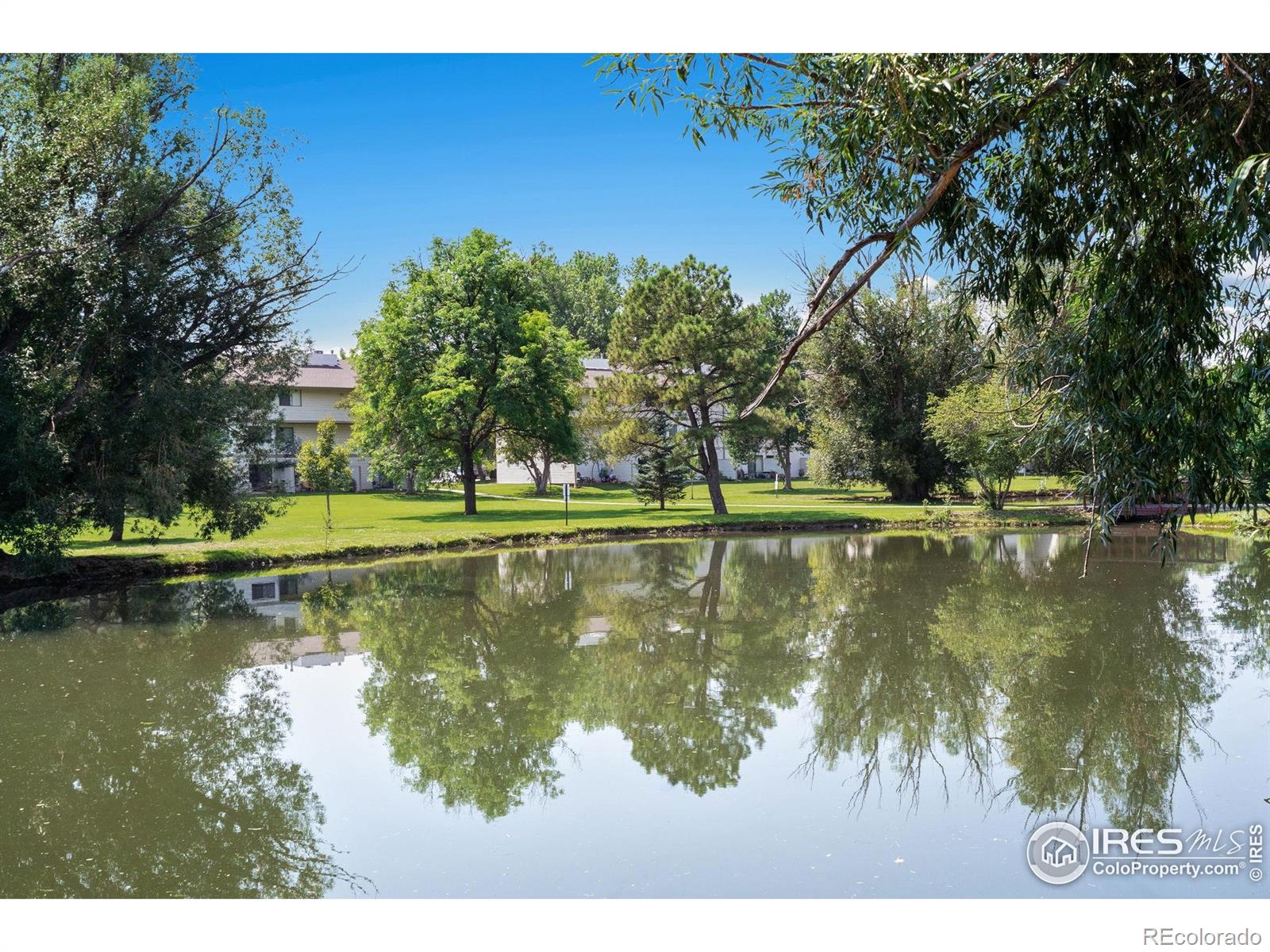 MLS Image #23 for 1705  heatheridge road,fort collins, Colorado