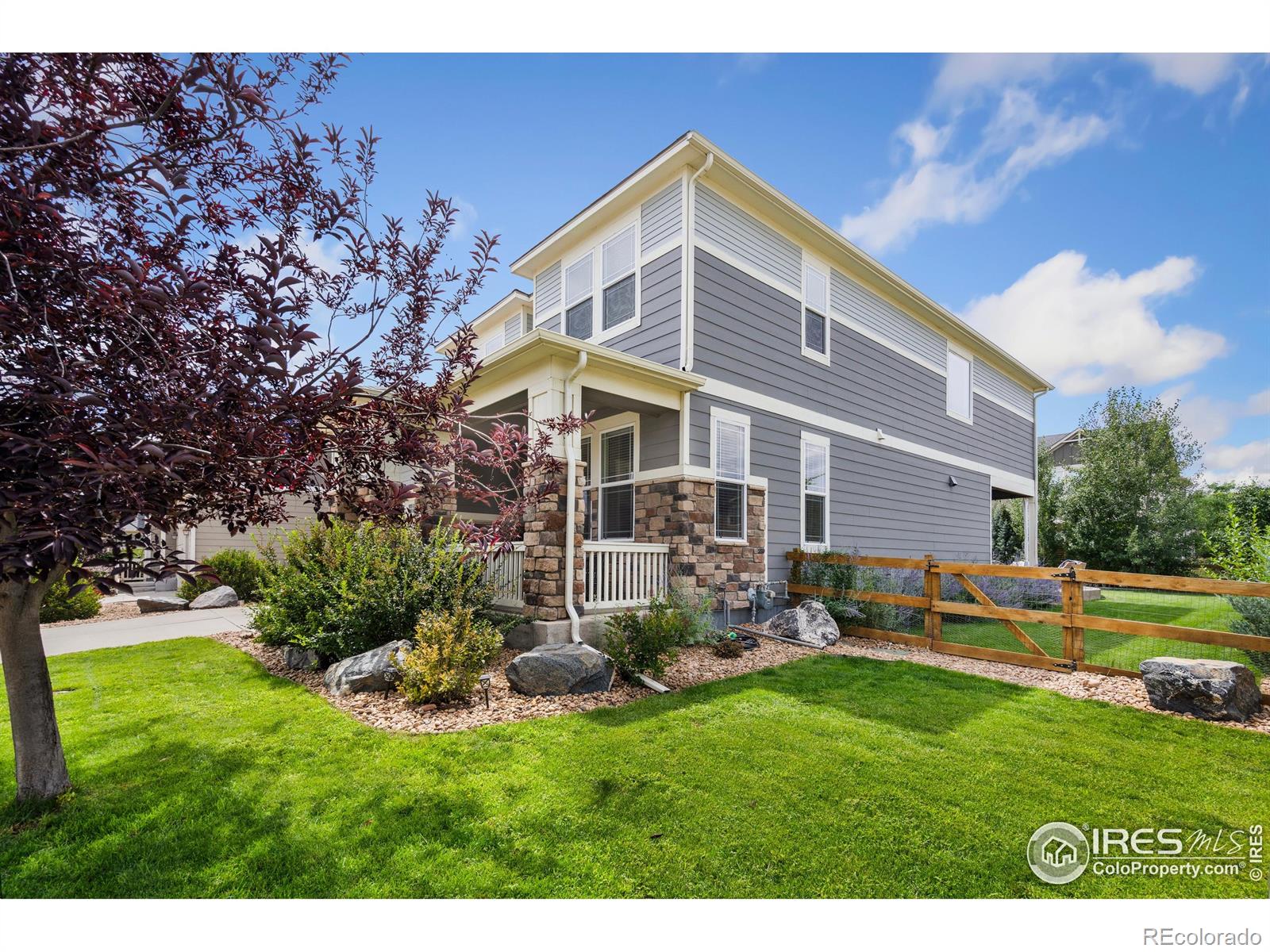 MLS Image #10 for 2313  lodgepole creek drive,fort collins, Colorado