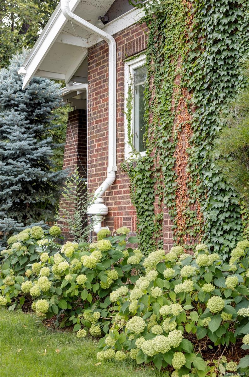 MLS Image #37 for 501 s ogden street,denver, Colorado