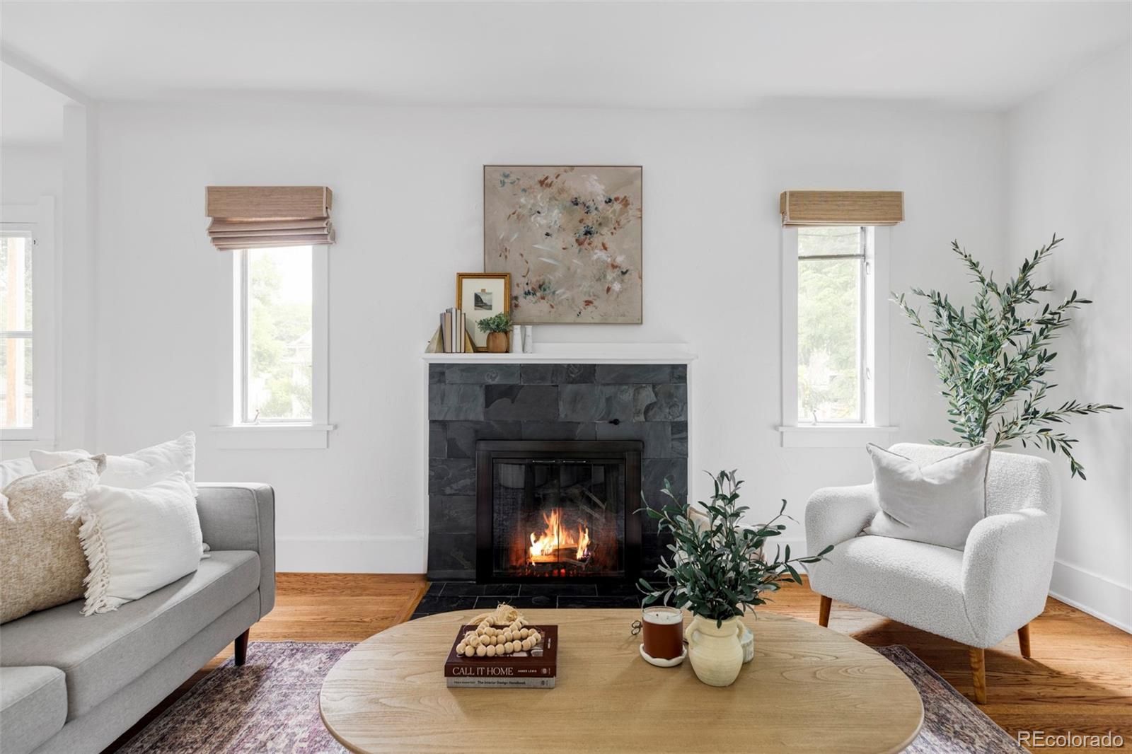 MLS Image #6 for 501 s ogden street,denver, Colorado
