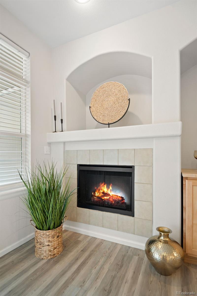 MLS Image #8 for 1560  olympia circle,castle rock, Colorado