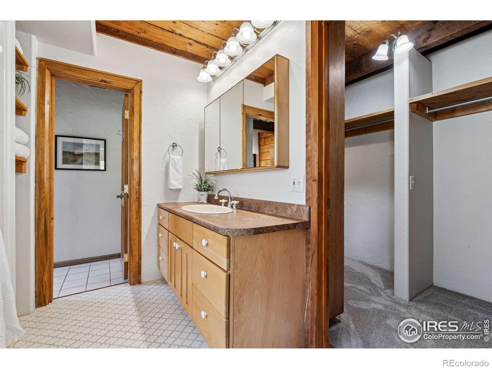 MLS Image #18 for 3907  ridge road,nederland, Colorado