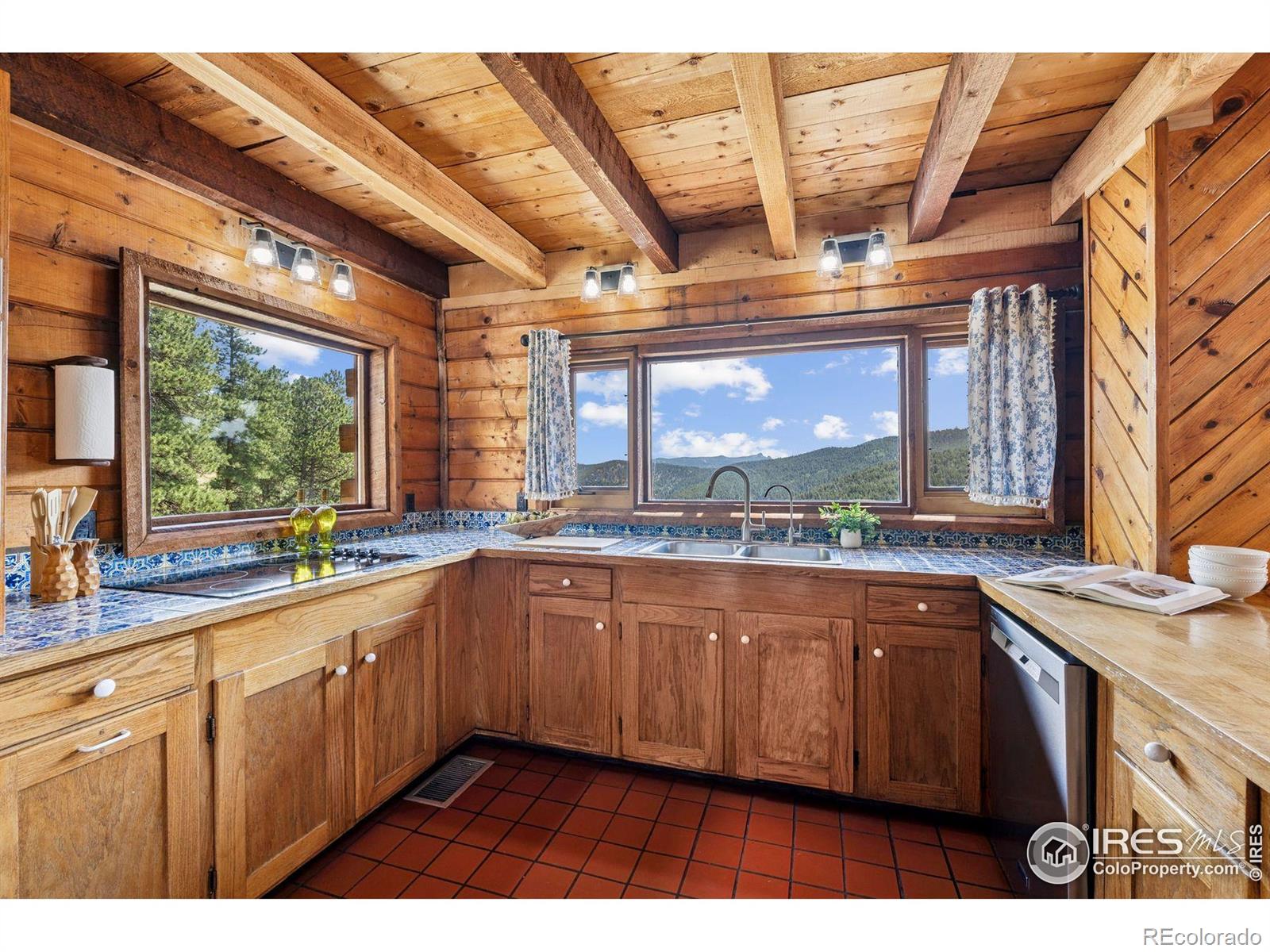 MLS Image #2 for 3907  ridge road,nederland, Colorado