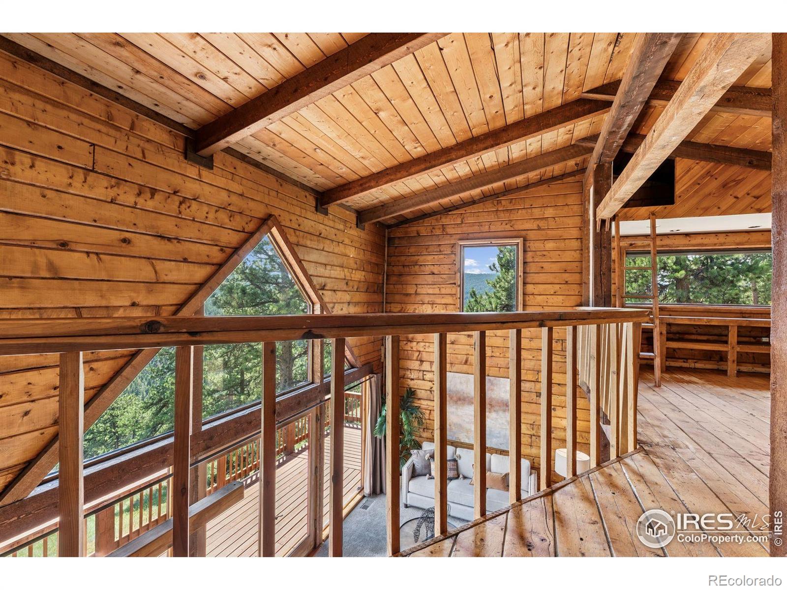 MLS Image #22 for 3907  ridge road,nederland, Colorado