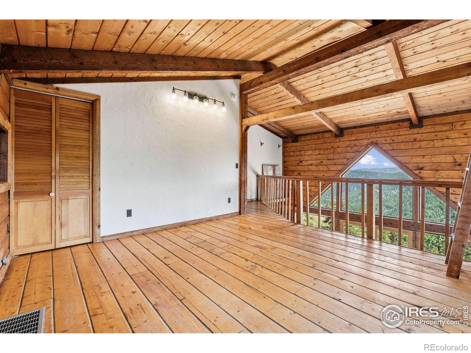 MLS Image #23 for 3907  ridge road,nederland, Colorado