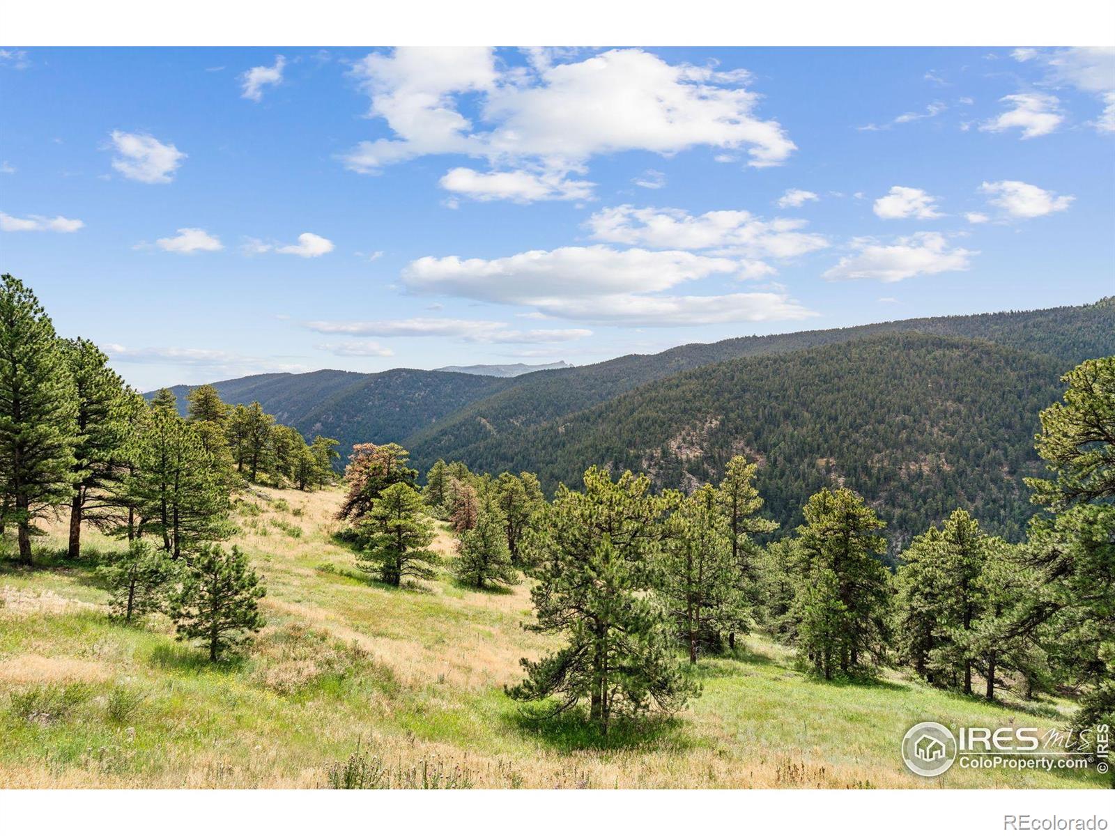 MLS Image #37 for 3907  ridge road,nederland, Colorado
