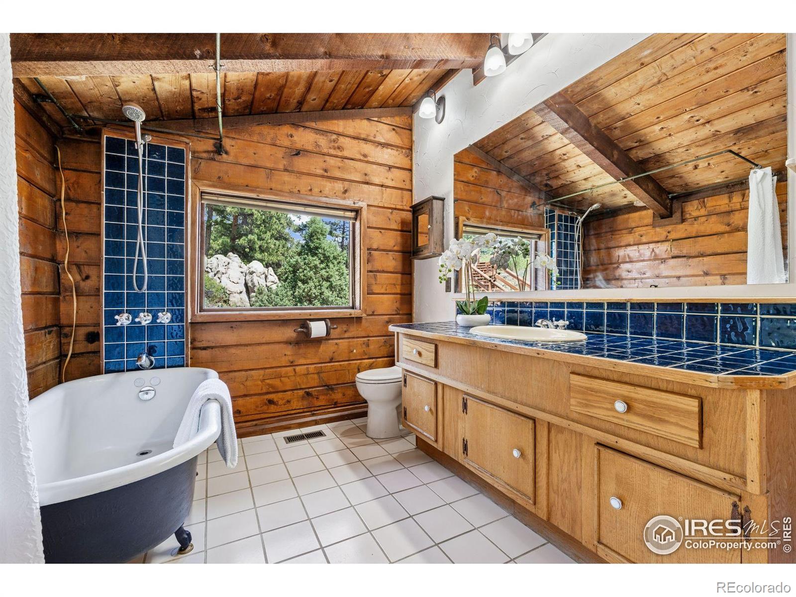 MLS Image #4 for 3907  ridge road,nederland, Colorado