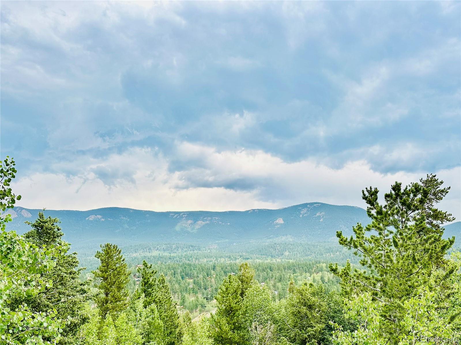 MLS Image #11 for 229  mcdougal road,bailey, Colorado