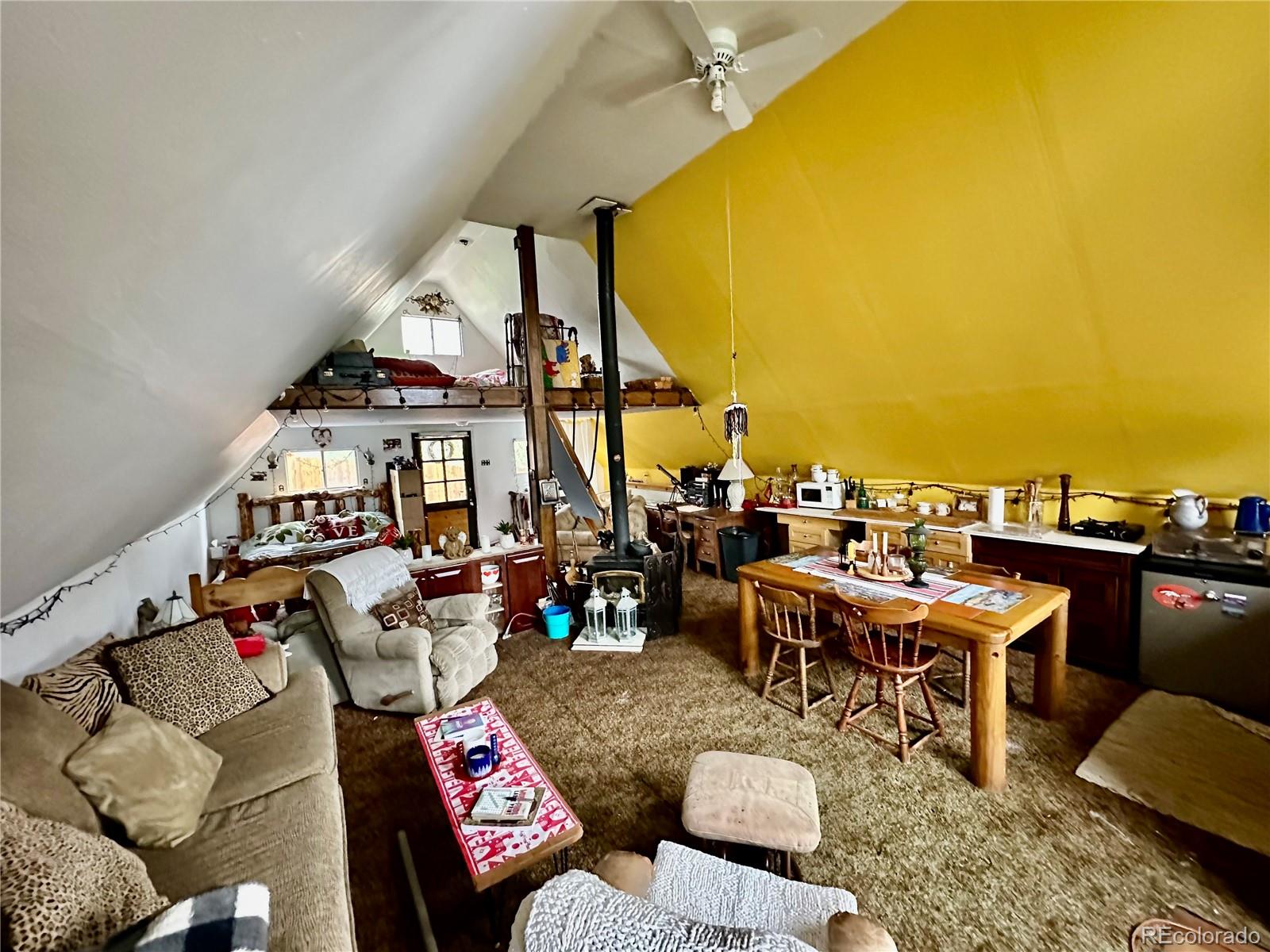MLS Image #13 for 229  mcdougal road,bailey, Colorado