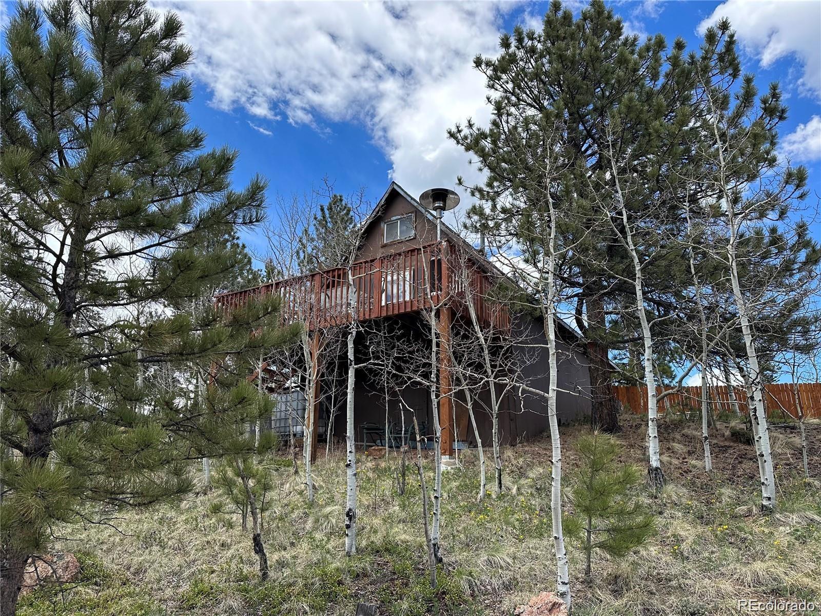 MLS Image #2 for 229  mcdougal road,bailey, Colorado