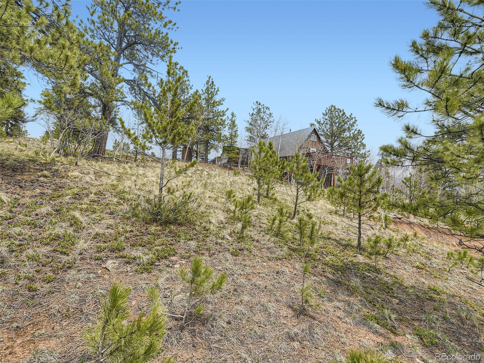 MLS Image #21 for 229  mcdougal road,bailey, Colorado