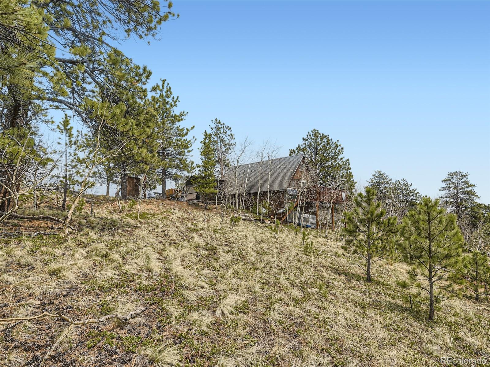 MLS Image #22 for 229  mcdougal road,bailey, Colorado