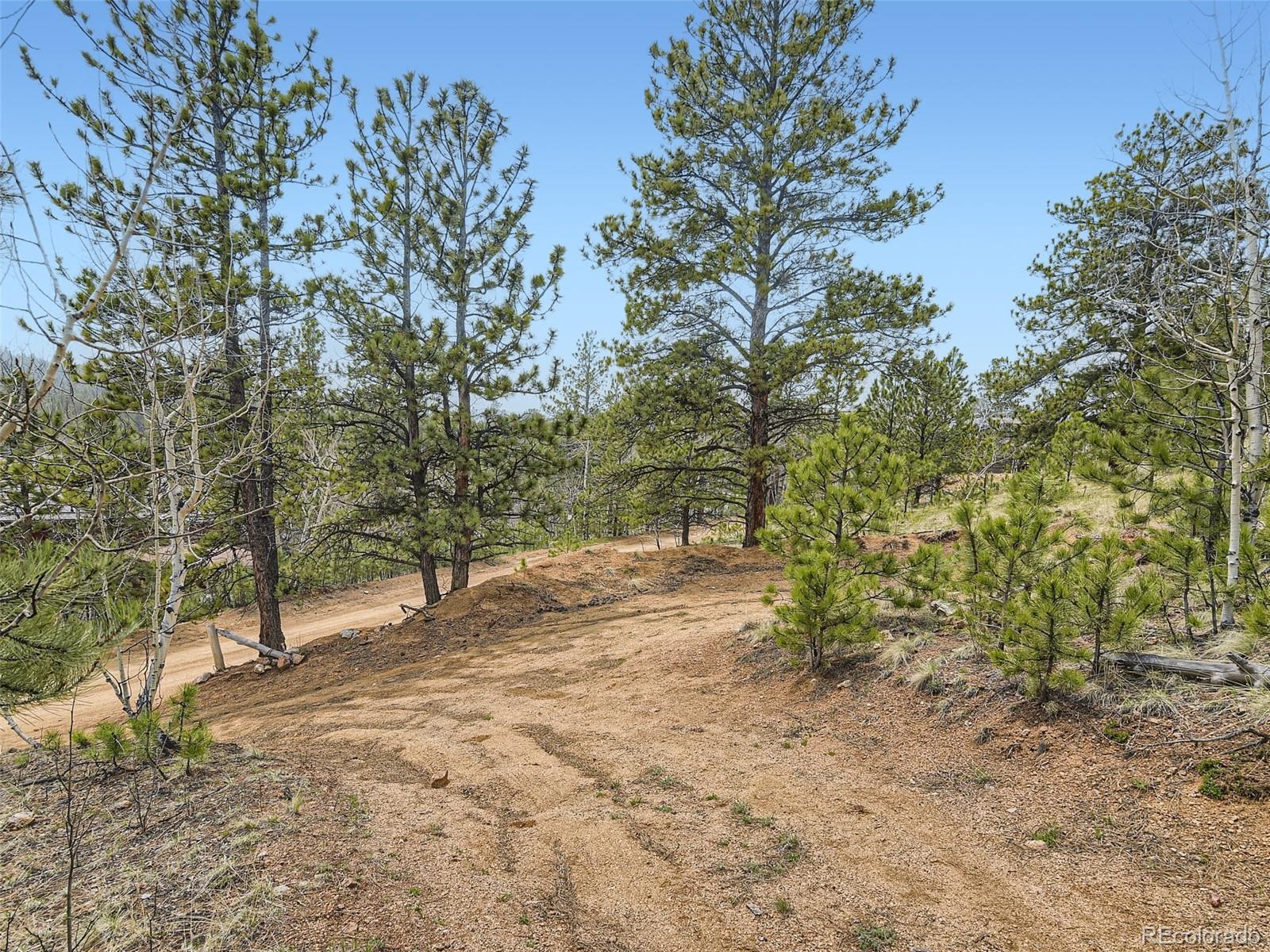 MLS Image #23 for 229  mcdougal road,bailey, Colorado