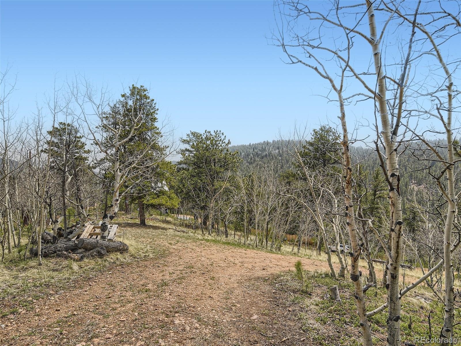 MLS Image #24 for 229  mcdougal road,bailey, Colorado