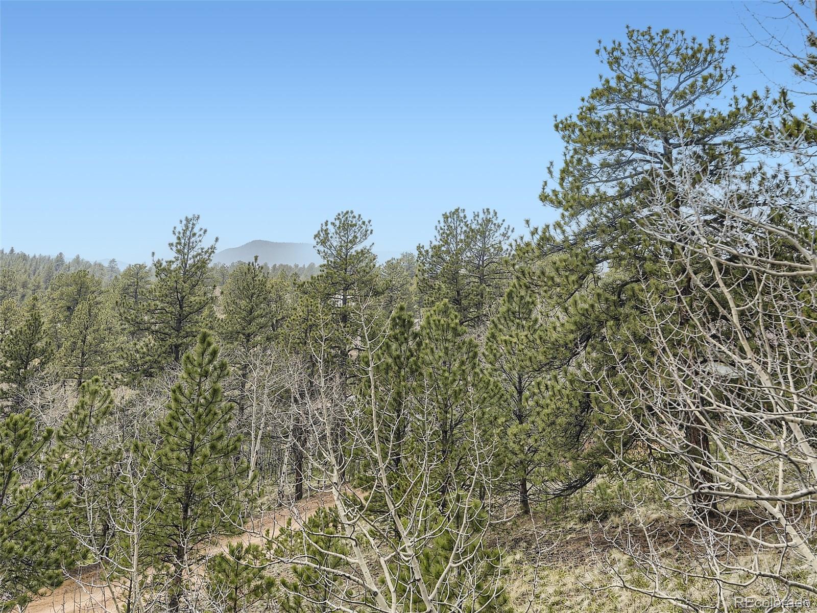 MLS Image #25 for 229  mcdougal road,bailey, Colorado