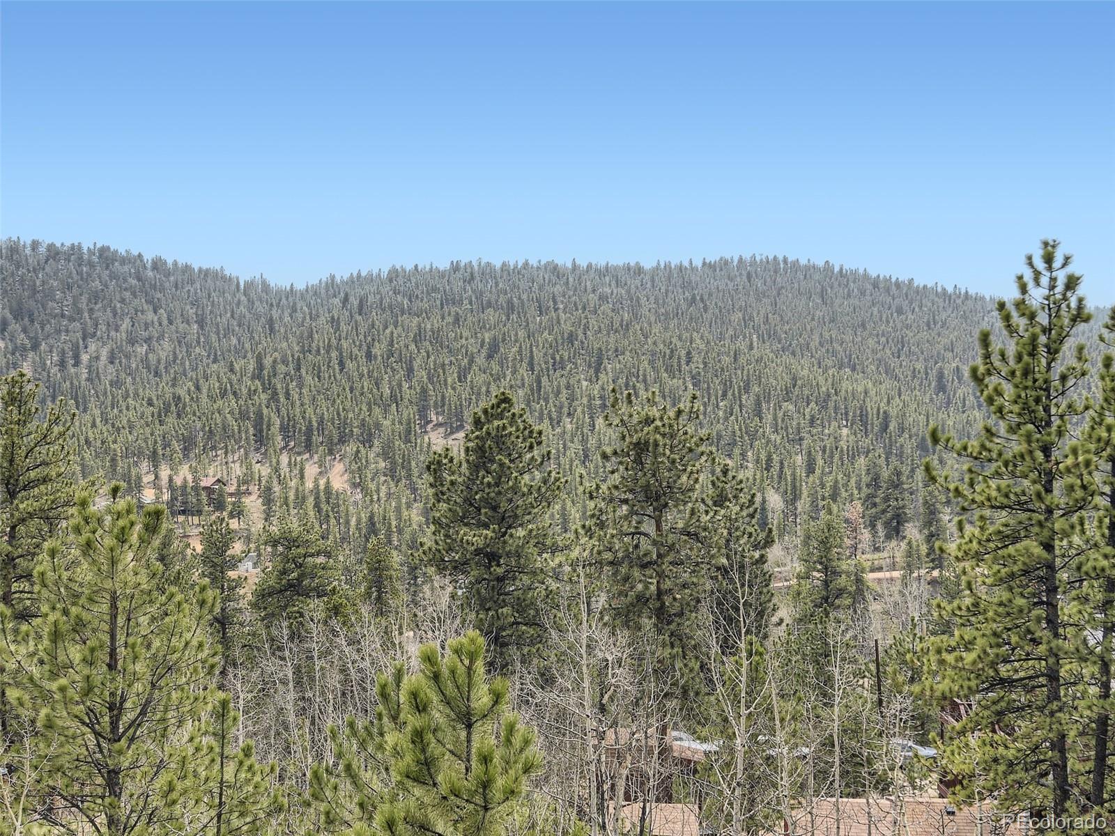 MLS Image #26 for 229  mcdougal road,bailey, Colorado