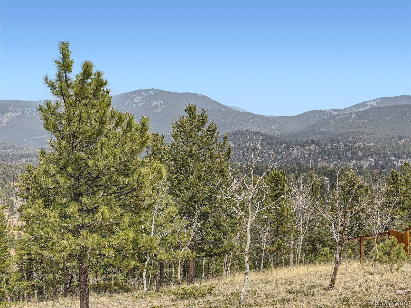 MLS Image #27 for 229  mcdougal road,bailey, Colorado