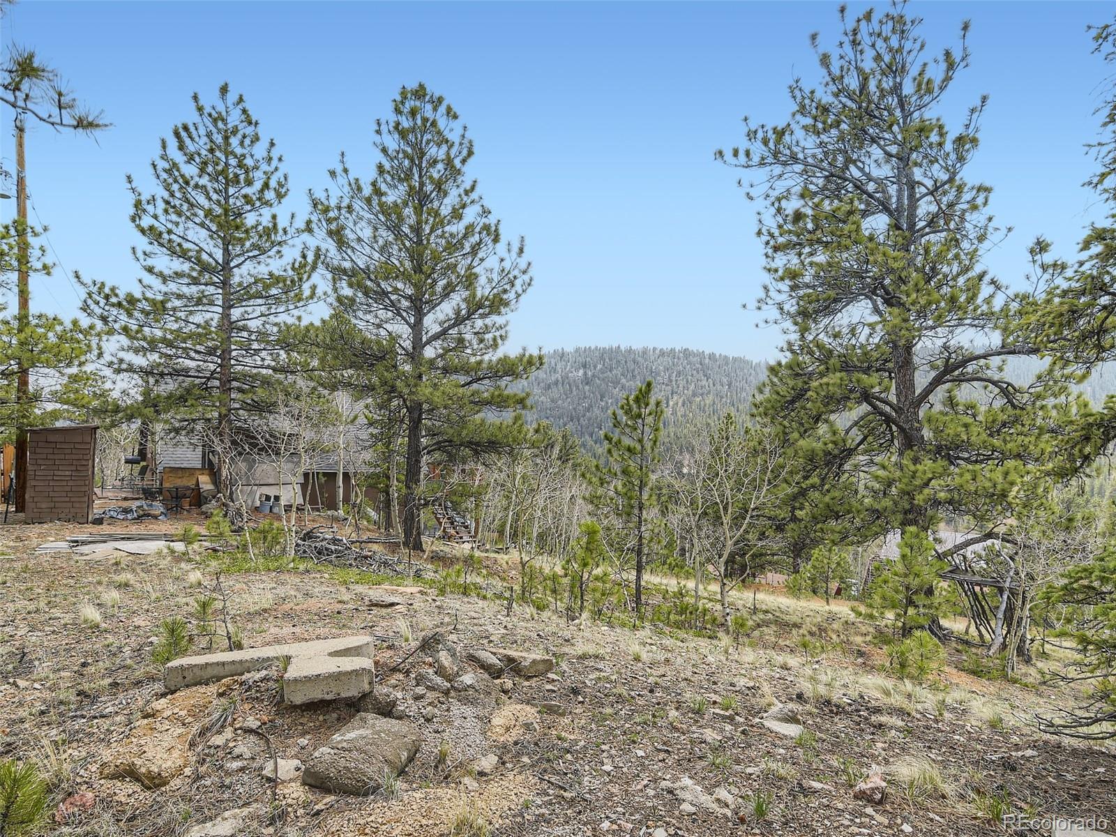 MLS Image #28 for 229  mcdougal road,bailey, Colorado