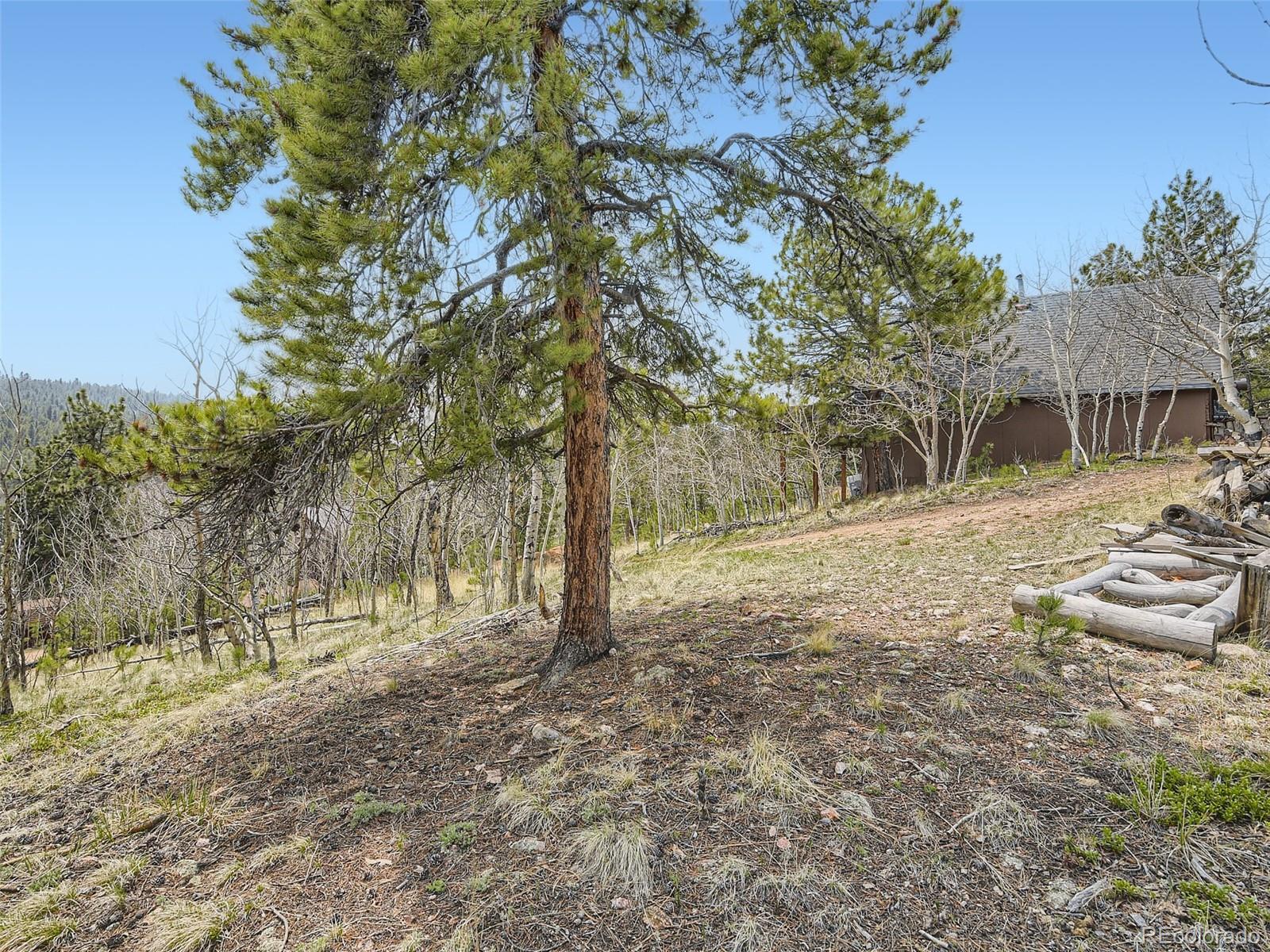 MLS Image #29 for 229  mcdougal road,bailey, Colorado