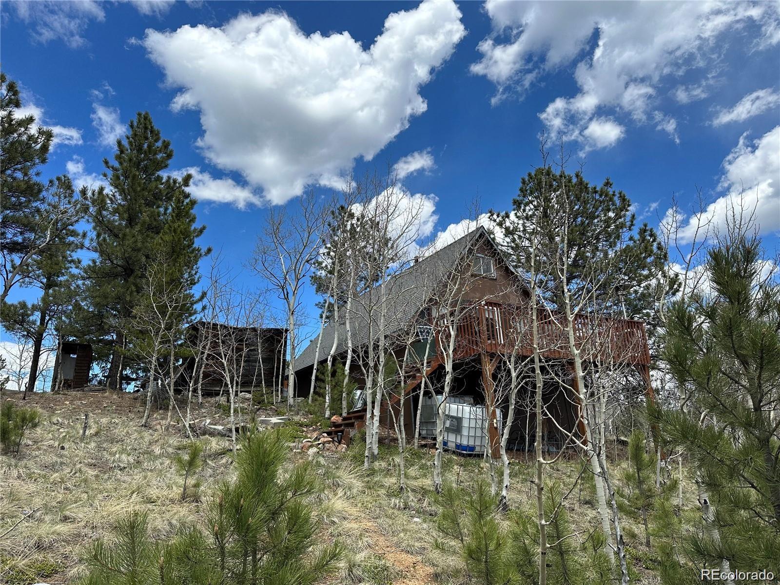 MLS Image #3 for 229  mcdougal road,bailey, Colorado