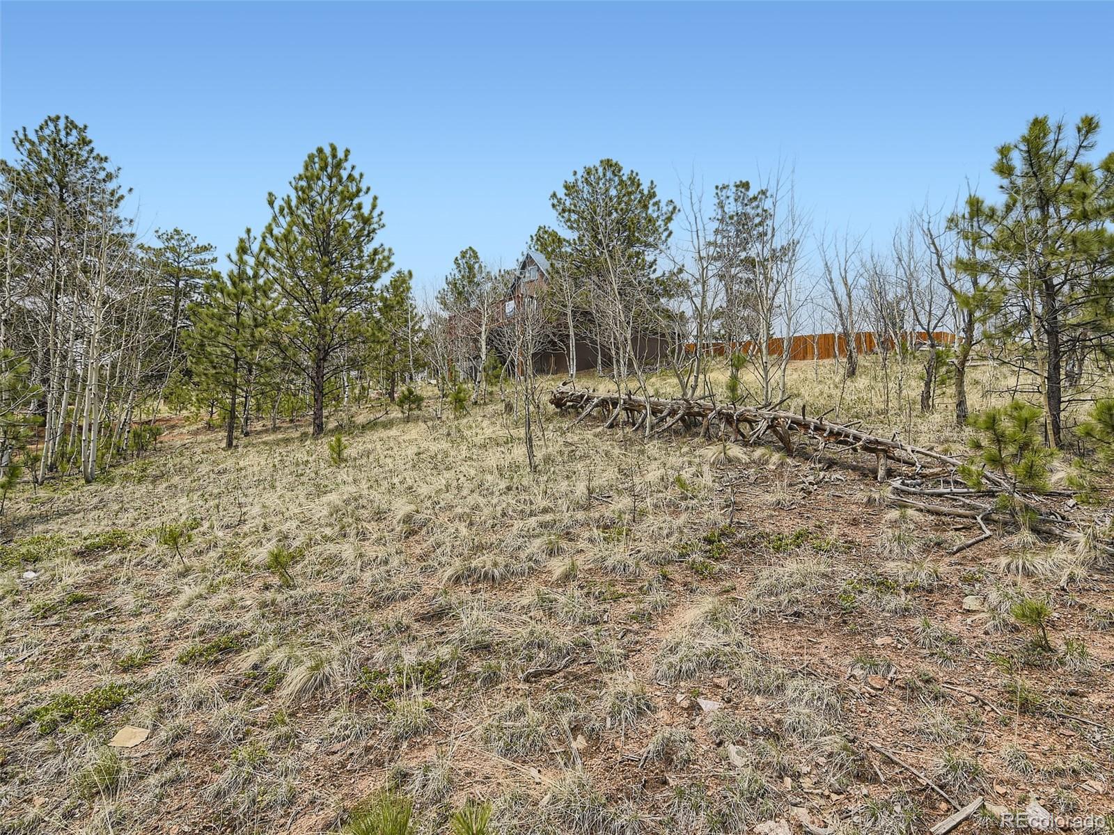 MLS Image #30 for 229  mcdougal road,bailey, Colorado