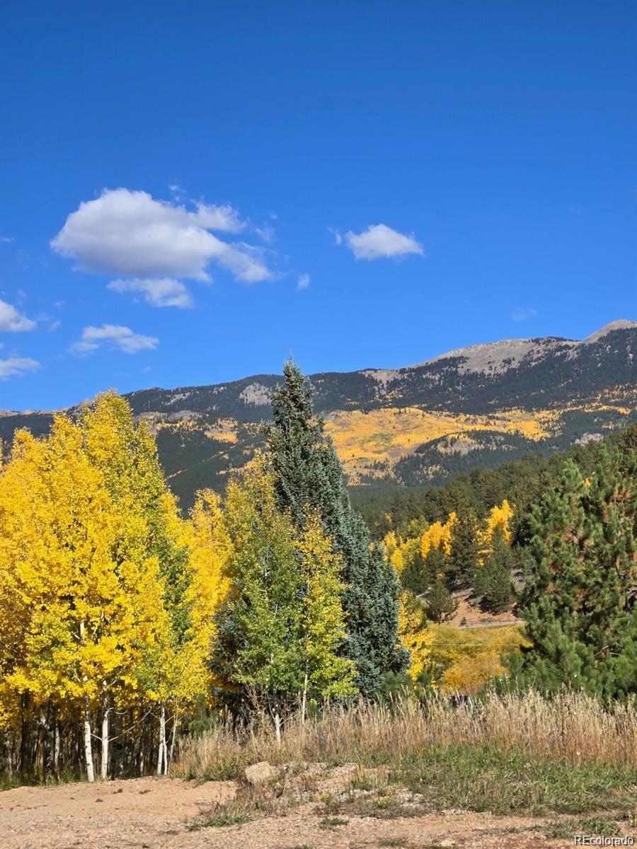 MLS Image #31 for 229  mcdougal road,bailey, Colorado