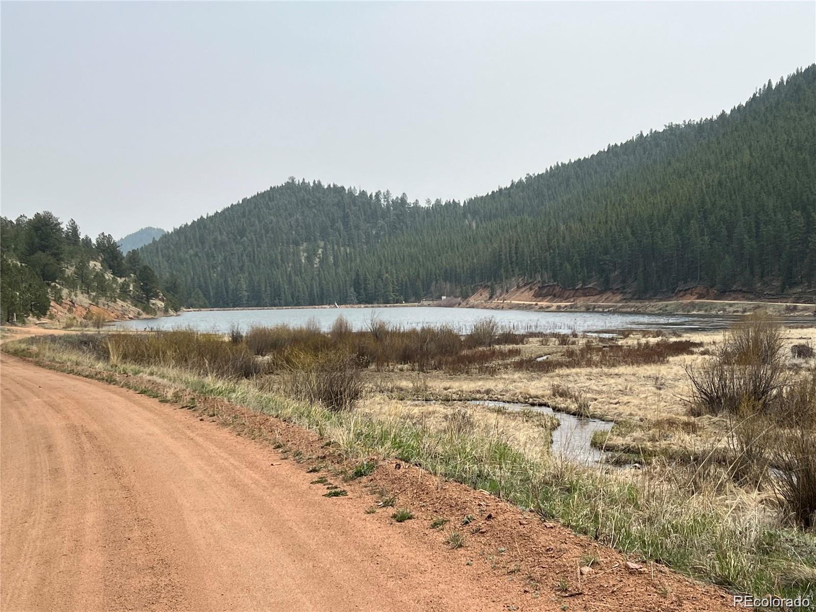 MLS Image #36 for 229  mcdougal road,bailey, Colorado