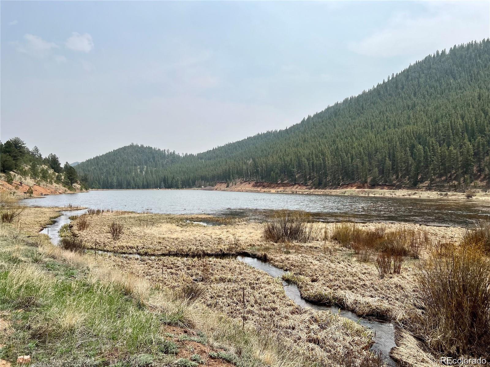 MLS Image #37 for 229  mcdougal road,bailey, Colorado