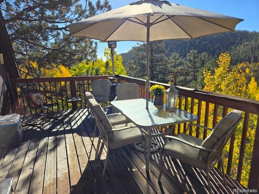 MLS Image #4 for 229  mcdougal road,bailey, Colorado