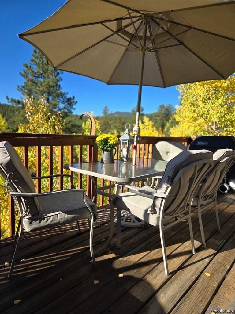 MLS Image #5 for 229  mcdougal road,bailey, Colorado