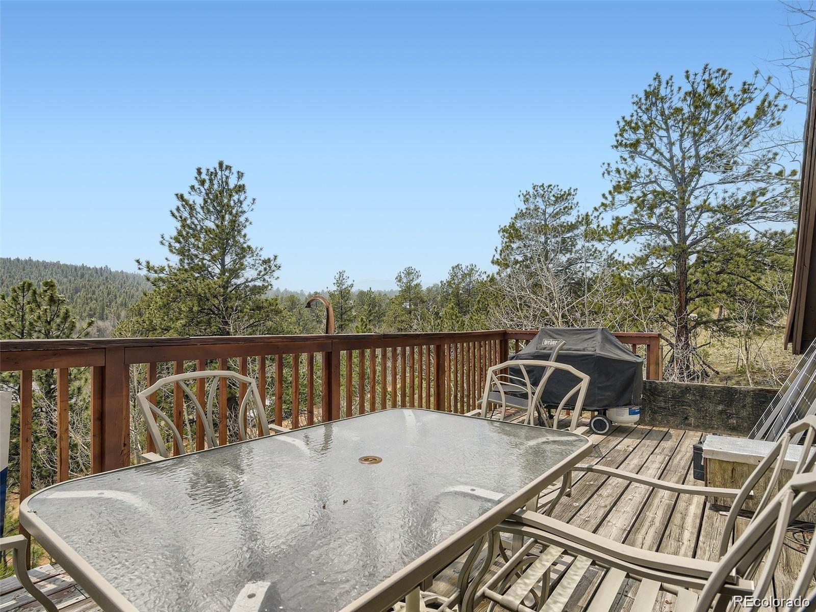 MLS Image #6 for 229  mcdougal road,bailey, Colorado
