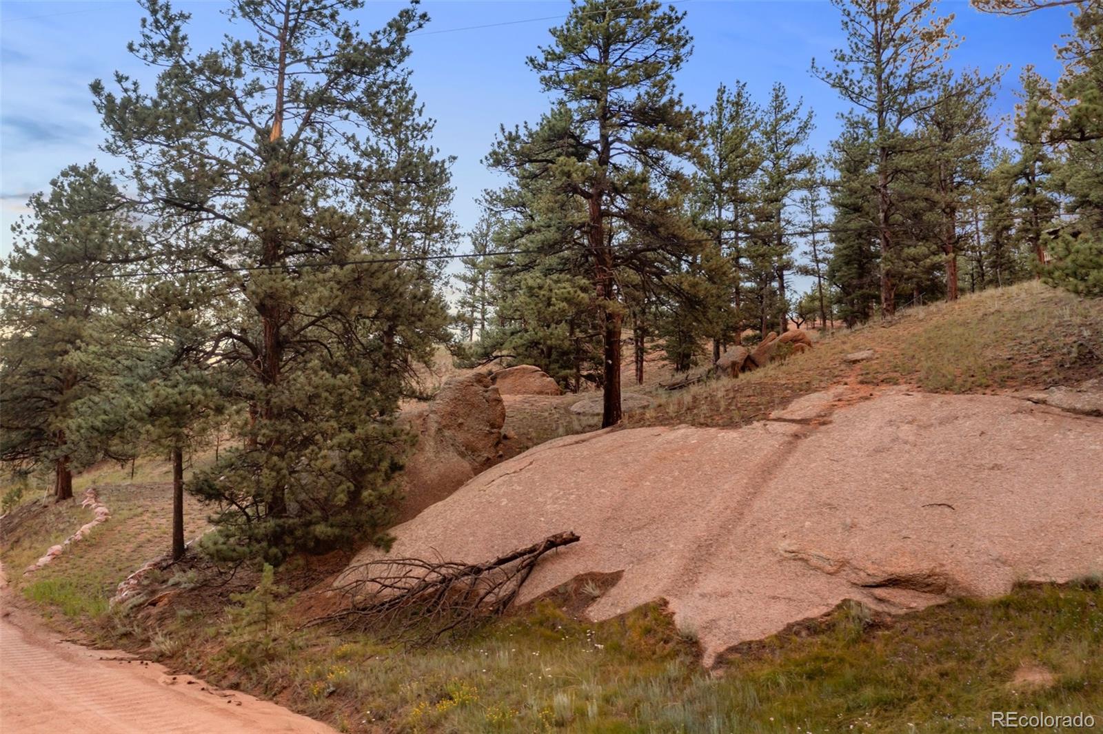 MLS Image #35 for 117  reed drive,florissant, Colorado