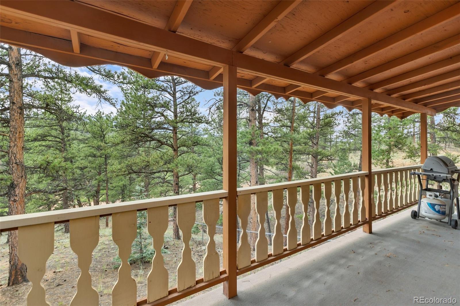 MLS Image #8 for 117  reed drive,florissant, Colorado