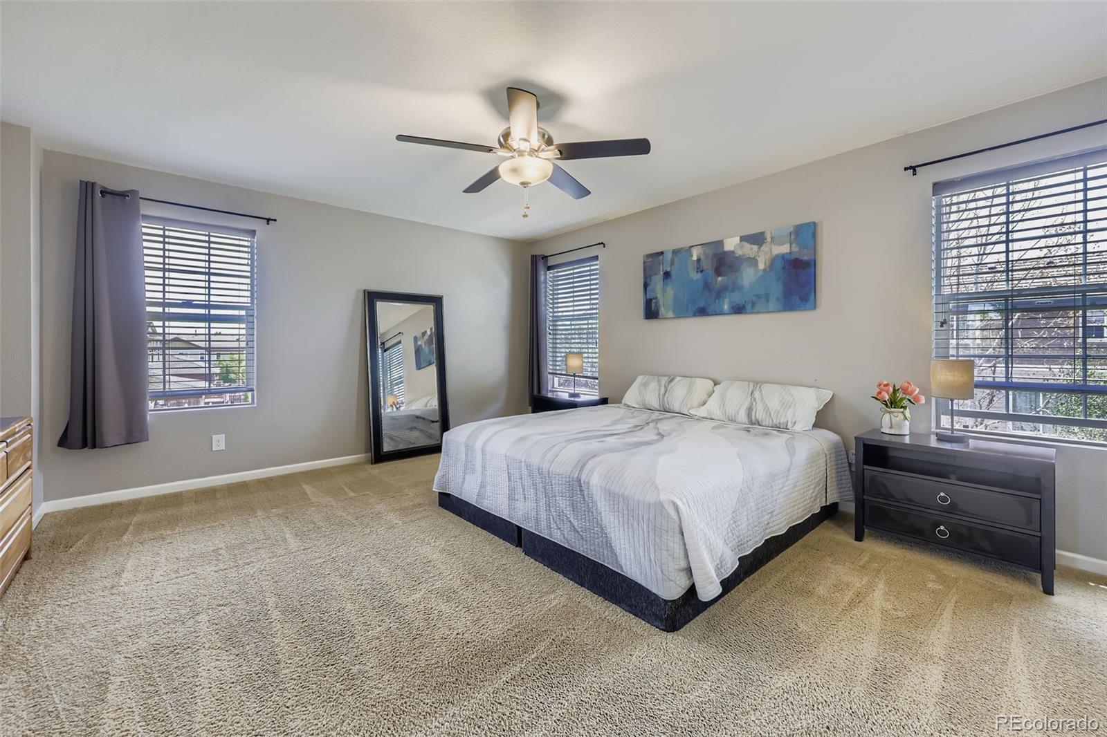 MLS Image #13 for 3135  sweetgrass parkway,dacono, Colorado