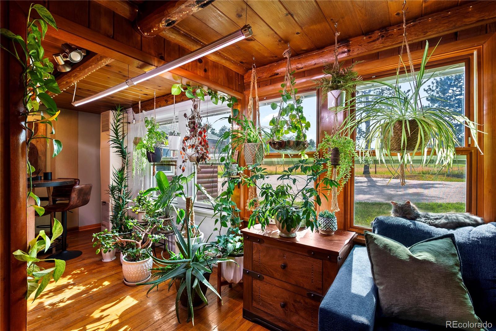 MLS Image #11 for 21852  pleasant park road,conifer, Colorado