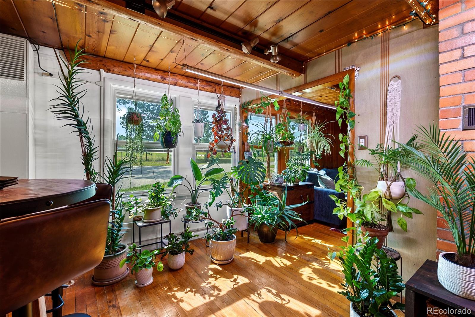 MLS Image #12 for 21852  pleasant park road,conifer, Colorado