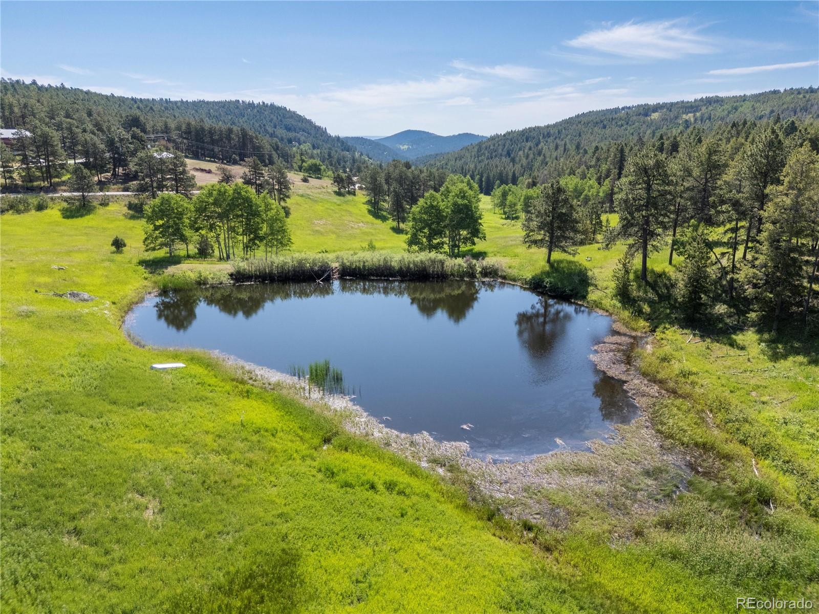 MLS Image #42 for 21852  pleasant park road,conifer, Colorado