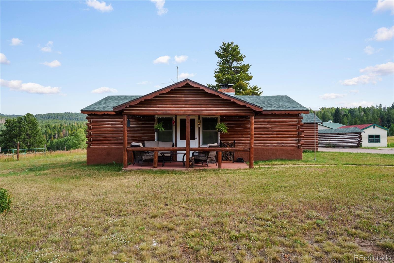 MLS Image #5 for 21852  pleasant park road,conifer, Colorado