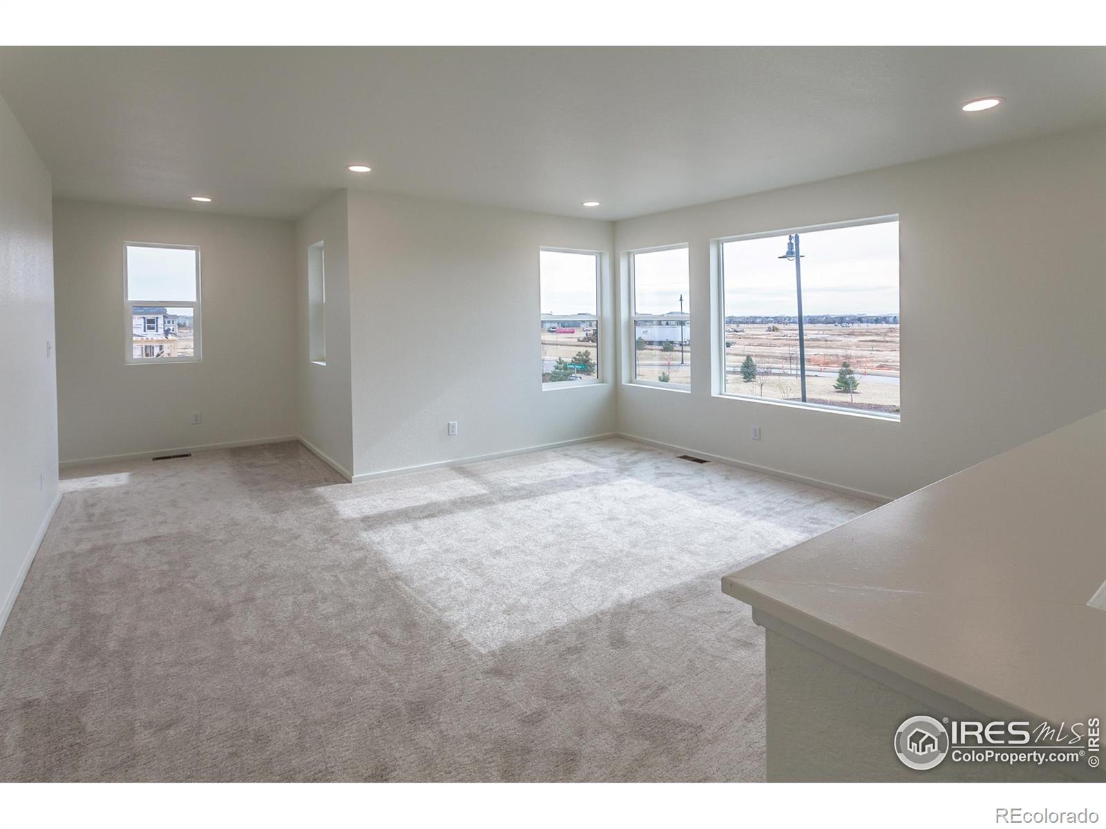 MLS Image #24 for 6120  dutch drive,timnath, Colorado
